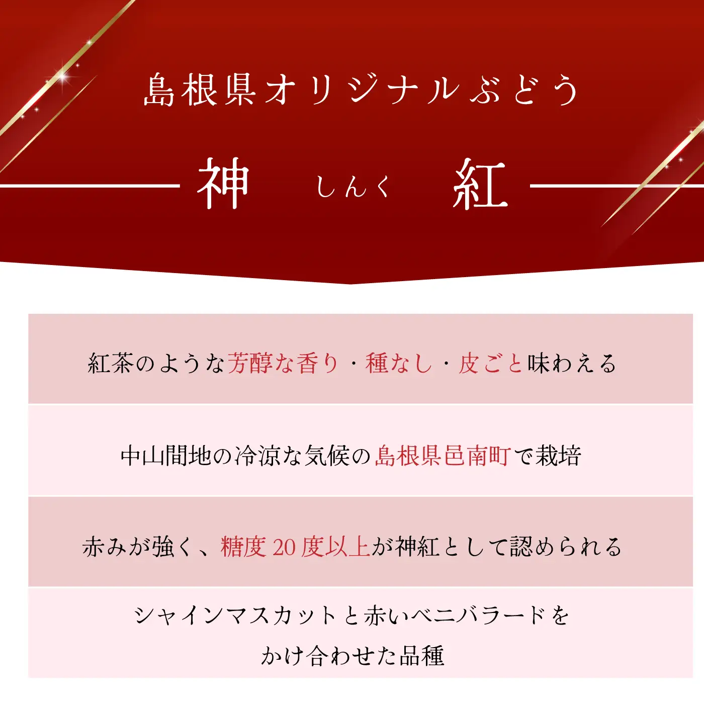 島根県限定！幻のぶどう　”神紅（しんく）” 1房　500ｇ 