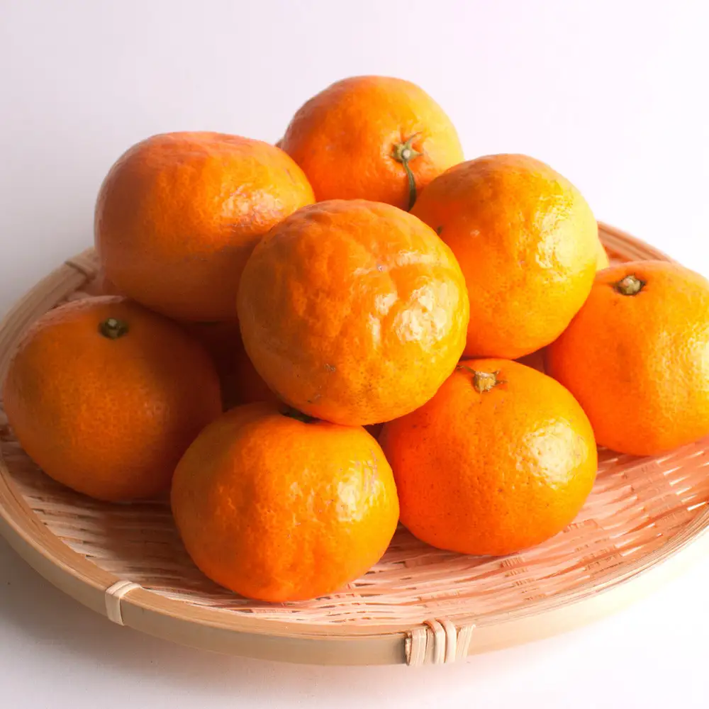 極プレミアム有田みかん 約2.5kg 定期便 全3回 10月・11月・12月発送
