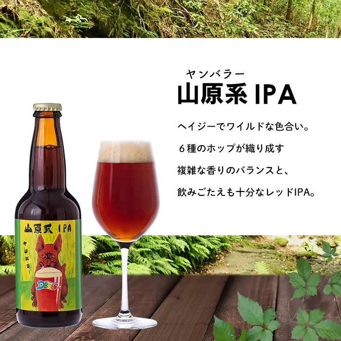 イルカの町のクラフトビール　6本セット クラフト クラフトビール ビール お酒 アルコール 瓶ビール オリジナル 人気 おすすめ オススメ 贈答 ギフト 贈り物 父の日 敬老の日 プレゼント 沖縄 乾杯 お祝い ランキング
