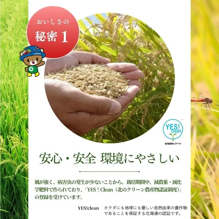【令和8年産 新米先行受付】 北海道とままえ産 ゆめぴりか 5kg 【定期便 12か月】 米 お米 北海道産 北海道米 特Aランク 国産 白米 コメ 北海道 苫前町 とままえ rum41