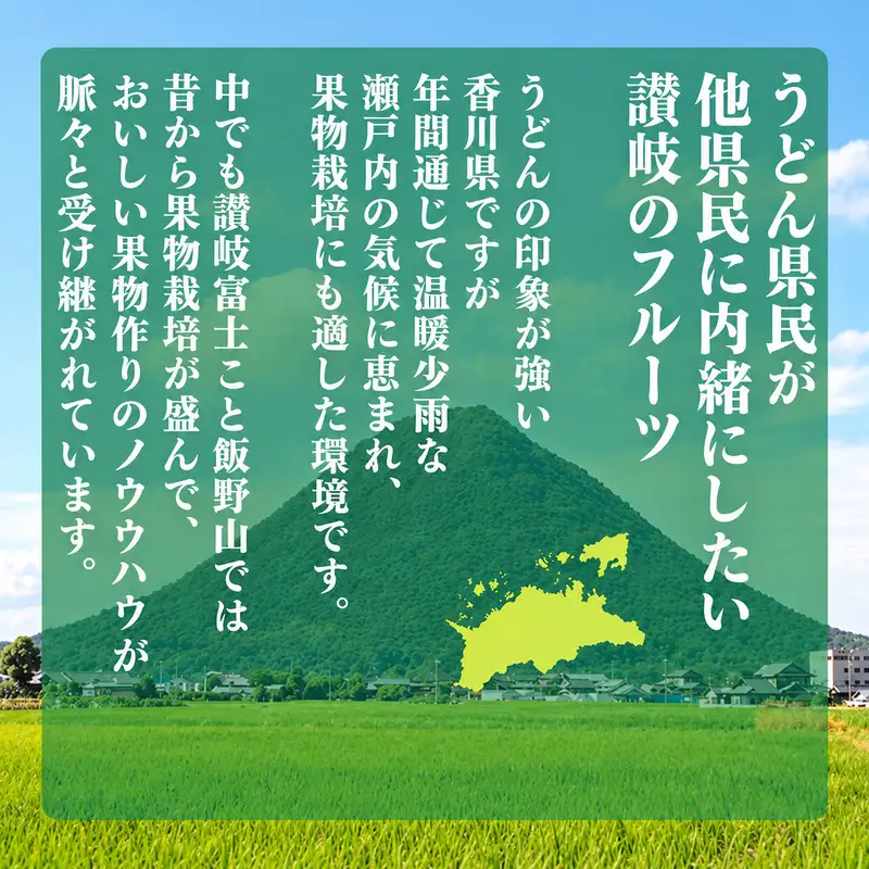 先行予約 不知火 約3kg ハウス 化粧箱 フルーツ 果物 不知火 みかん みかん 【goshiki036】