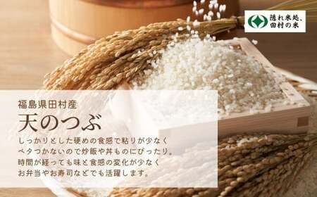 米 精米 令和7年産 福島県産 天のつぶ 10kg 田村市
