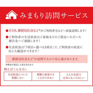 みまもり訪問サービス（12か月）