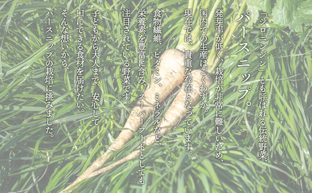 A1-5712／パースニップ　1kg