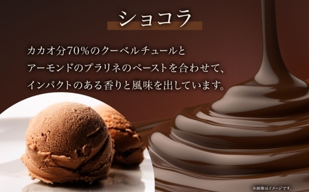 ジェラート ショコラ 500ml×2個