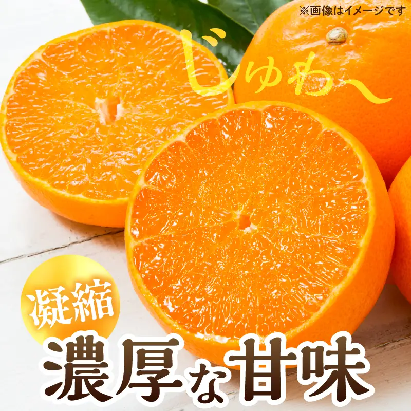 スペシャルみかん ひなたっ娘 計4.5kg 傷み補償分入り 果物 くだもの フルーツ 蜜柑 ミカン 柑橘_CD104-26