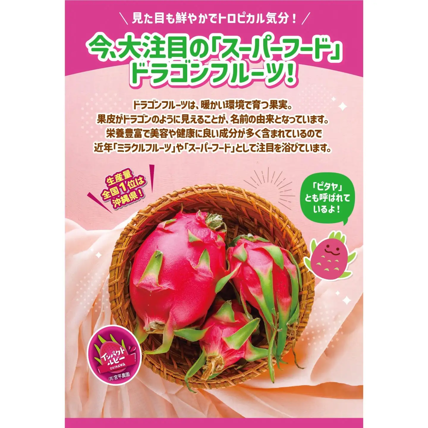 宮平農園のドラゴンフルーツ 2kg(レッド)   