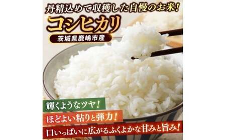 ★新米 令和7年★ 米 精米 白米 5kg「こしひかり」先行予約 鹿嶋市産【令和7年産 コシヒカリ 5キロ お米 コメ ごはん ライス ブランド米 茨城県 鹿嶋市】(KEJ-1)