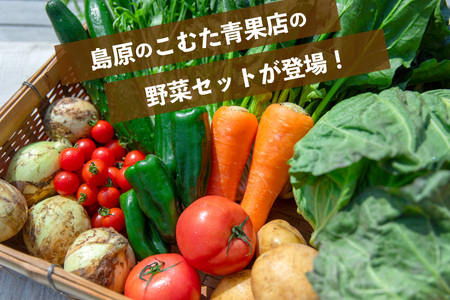 AJ434 【5回定期便】【1～5月限定出荷】こむたの旬の野菜 (8～10品目) おまかせMセット