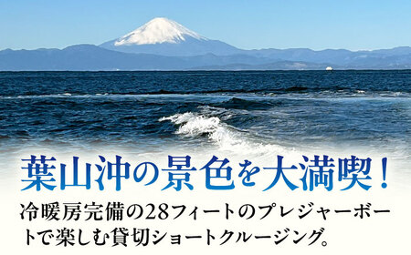 ショートチャータークルージング チケット 4名分【株式会社ユニマットプレシャス】[AKBZ015]