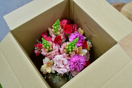 フラワーアレンジの定期便（ギフトにも）花産地伊那から全国へ　12か月【230-01】　