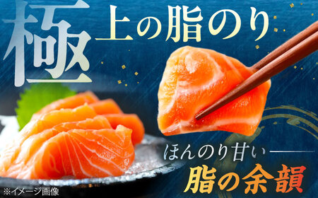 【訳あり】トラウトサーモン刺身 500g [AQAJ047] 訳あり