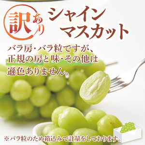 【9月より順次発送】【数量限定】訳あり バラ粒 箱込み1kg シャインマスカット（茨城県共通返礼品／かすみがうら市）（FW-9）