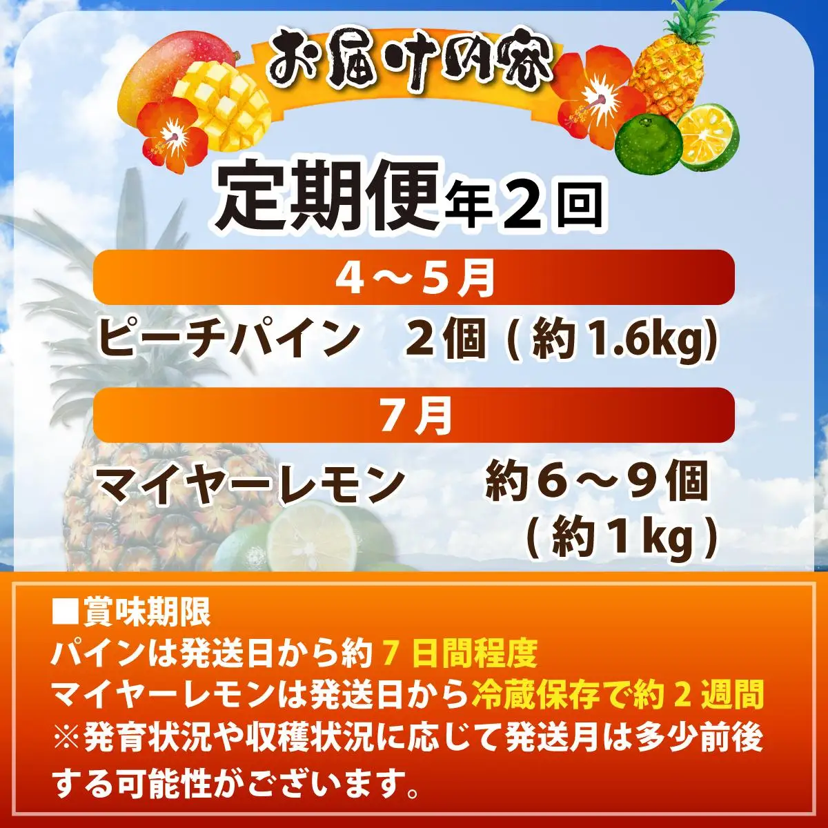 【定期便】よくばり定期便（ピーチパイン、マイヤーレモン）年2回 《2027年4月以降発送》
