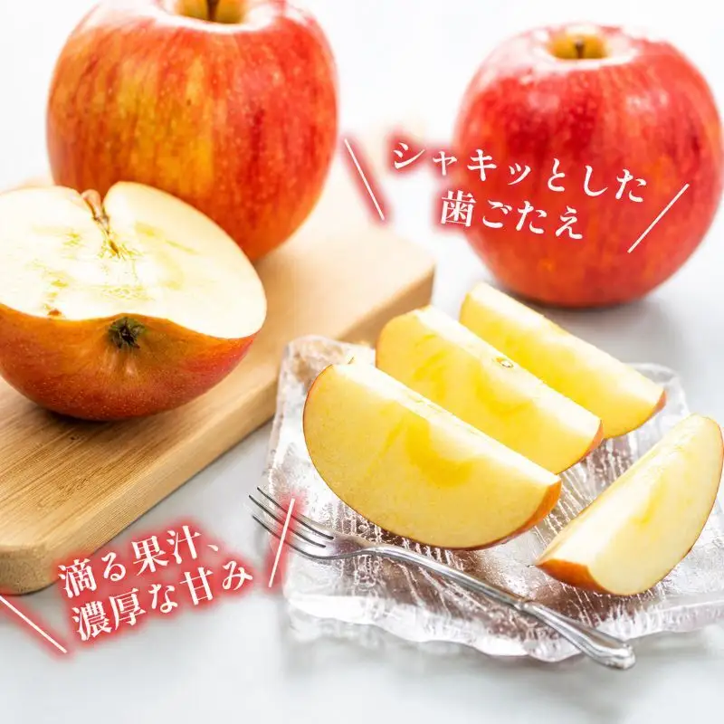 訳あり りんご JA信州うえだ 合戦りんご サンふじ 約5kg（10玉～20玉） リンゴ 林檎 ふじ 果物 くだもの フルーツ 信州 長野 離乳食 訳アリ わけあり 傷