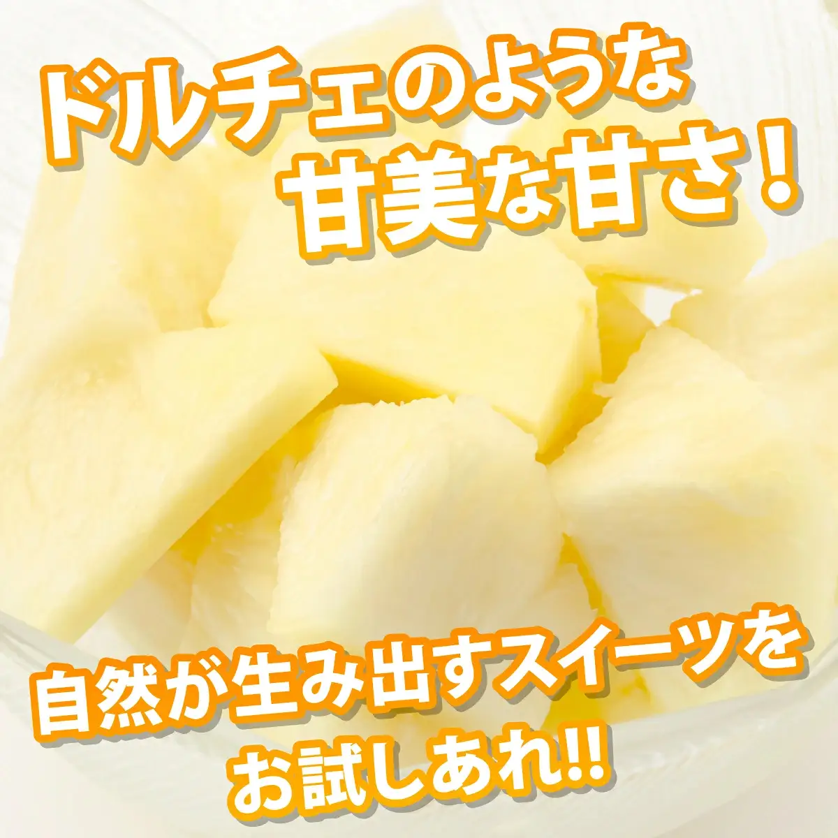 【先行予約】南風香 サンドルチェ 3玉 約2.5kg