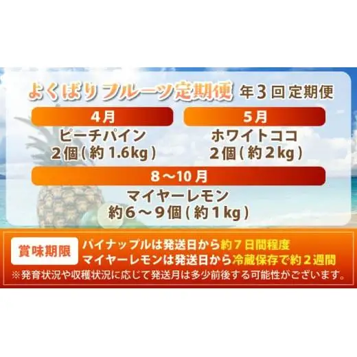 果物好きにおすすめ！希少なパイナップル2品種＆青切りマイヤーレモンの定期便　年3回に分けてお送りします 《2027年4月以降発送》