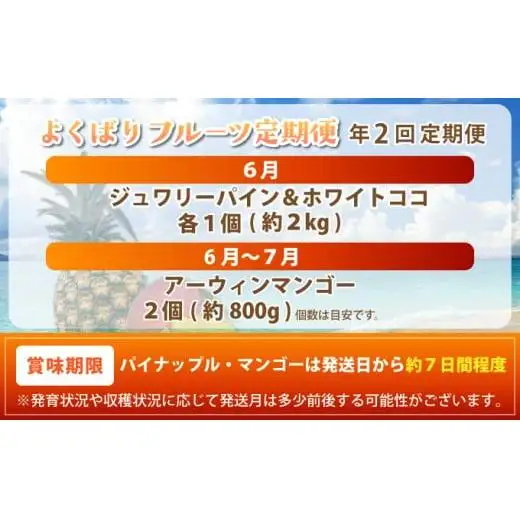 マツコの知らない世界で紹介！幻のホワイトココ＆最高糖度20度⁉完熟マンゴーの定期便年２回に分けてお送りします《2027年6月以降発送》