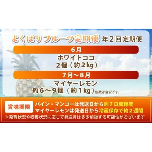 マツコの知らない世界で紹介！幻のホワイトココ＆青切りマイヤーレモンの定期便 年2回に分けてお送りします《2027年6月以降発送》