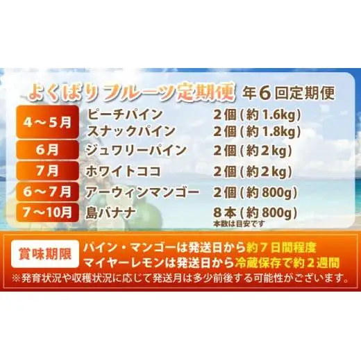 島のおいしいを贅沢に！大満足のパイナップル4種とマンゴー、プレミアム島ばななの定期便　年6回に分けてお送りします 《2027年4月中旬以降発送》
