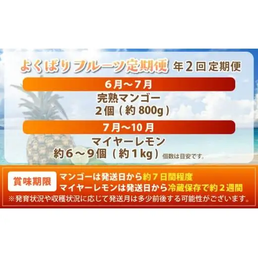 最高糖度20度！？完熟マンゴーと青切りマイヤーレモンの定期便！！年2回に分けてお送りします《2027年6月以降発送》