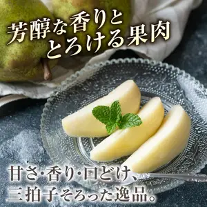 ≪先行受付≫ラフランス 5kg 14個～20個【2026年11月上旬～順次発送予定】 057-002