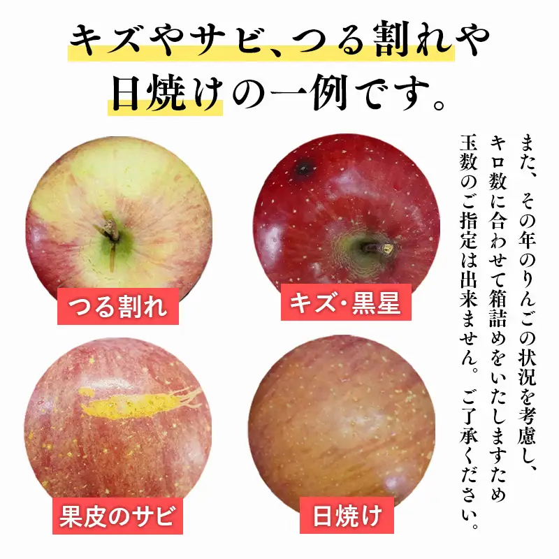 りんご 家庭用サンふじ3㎏ りんご