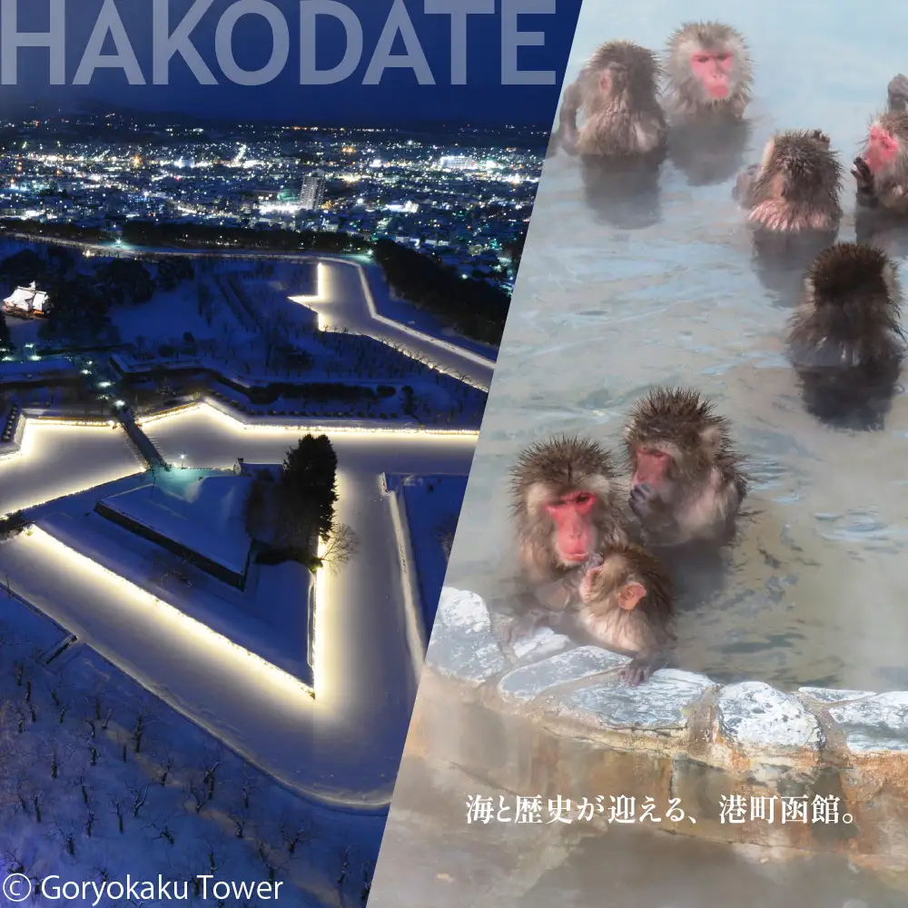 【北海道ツアー】北海道 函館市 旅行クーポン 300,000円分 温泉 観光 ホテル_HD233-004
