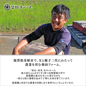 【令和7年産】減農薬米 近江米 みずかがみ 白米 10kg ［shiba03] 白米