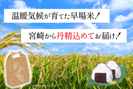 米 訳あり 令和8年 宮崎県産 コシヒカリ 白米 10kg