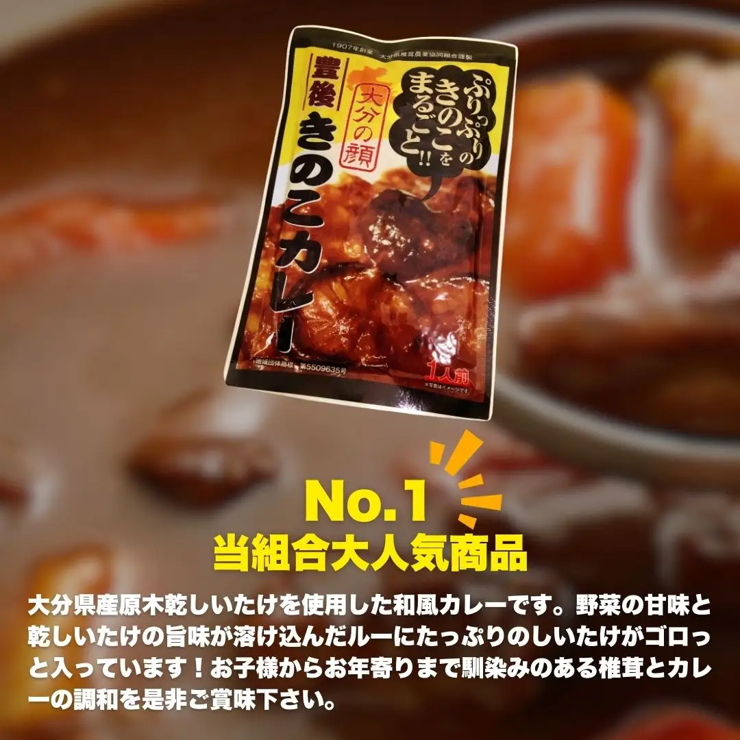 レトルトカレー 豊後きのこ レトルトカレー ×6 | 津久見市