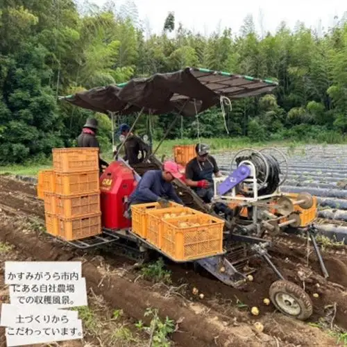 産地直送!訳ありお芋屋さんのBigじゃがいも(品種:とうや)10kg_訳あり じゃがいも 産地直送 大容量_【配送不可地域：離島・沖縄県】【1645283】