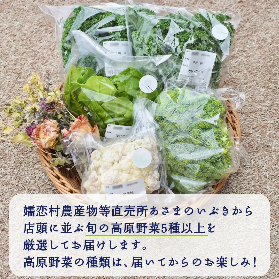 本日のおまかせ 高原野菜 の 詰合せ 5kg 5種以上 [AF027tu]
