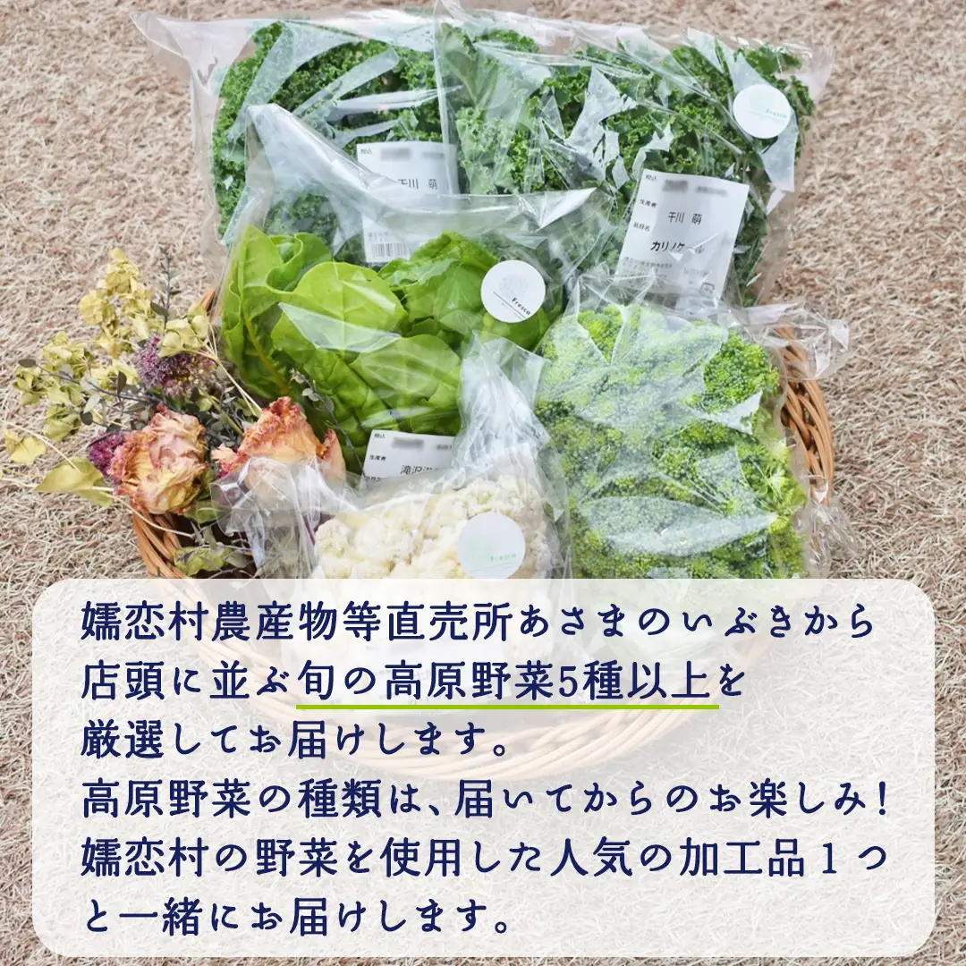 本日のおまかせ 高原野菜 5種以上 の 詰合せ と 加工品 1つ のセット 計10kg [AF028tu]