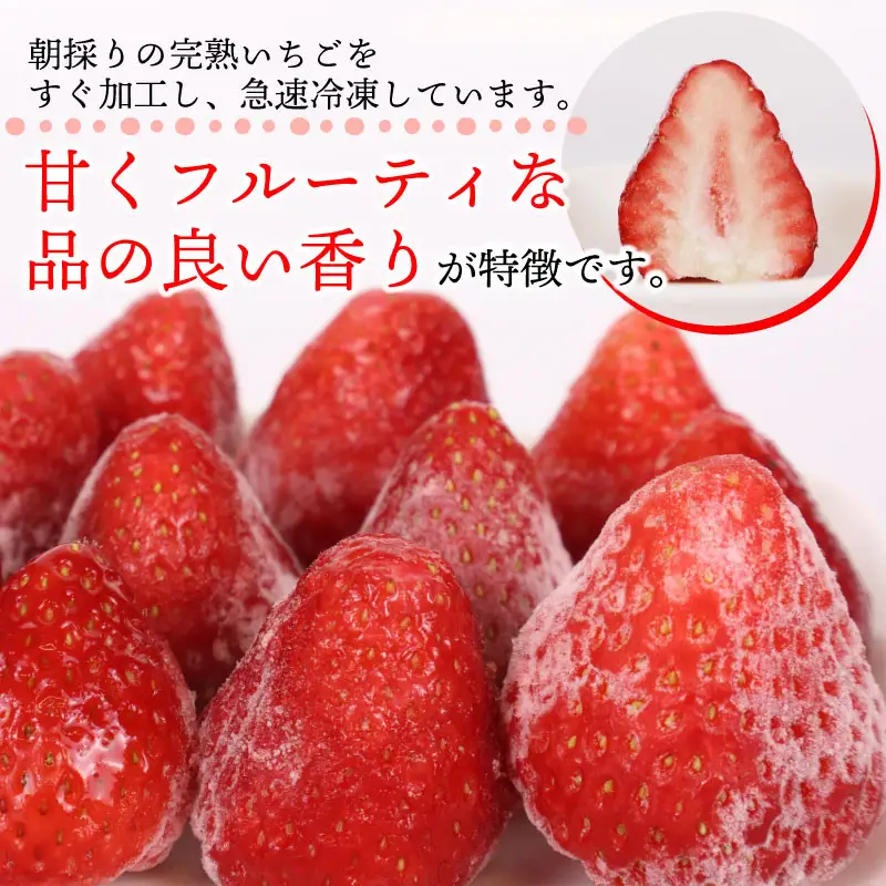 冷凍いちご 1kg きらぴ香 冷凍いちご 【森木農園】