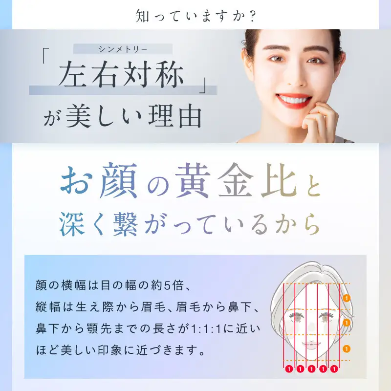 NIPLUX 美顔ローラー BEROLA | 1年保証 取扱説明書付き EMS 美顔ローラー Y字型 美顔器 べローラ 顔 低周波 小顔 電動 美容ローラー フェイスローラー 毛穴ケア フェイシャルケア 顔用 美容家電 ニップラックス 福岡市 人気 おすすめ 送料無料 NP-BRL23SV