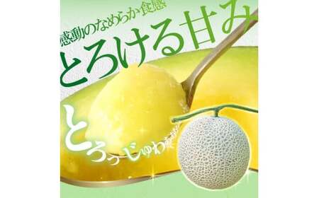 【先行予約】メロン 2玉入り（1玉約1.4kg〜1.8kg）青肉 〈2027年6月中旬〜7月中旬頃発送〉メロン めろん マスクメロン 舐瓜 果物 くだもの フルーツ デザート 旬 ハウス栽培【株式会社とさもん】[BQAE027]