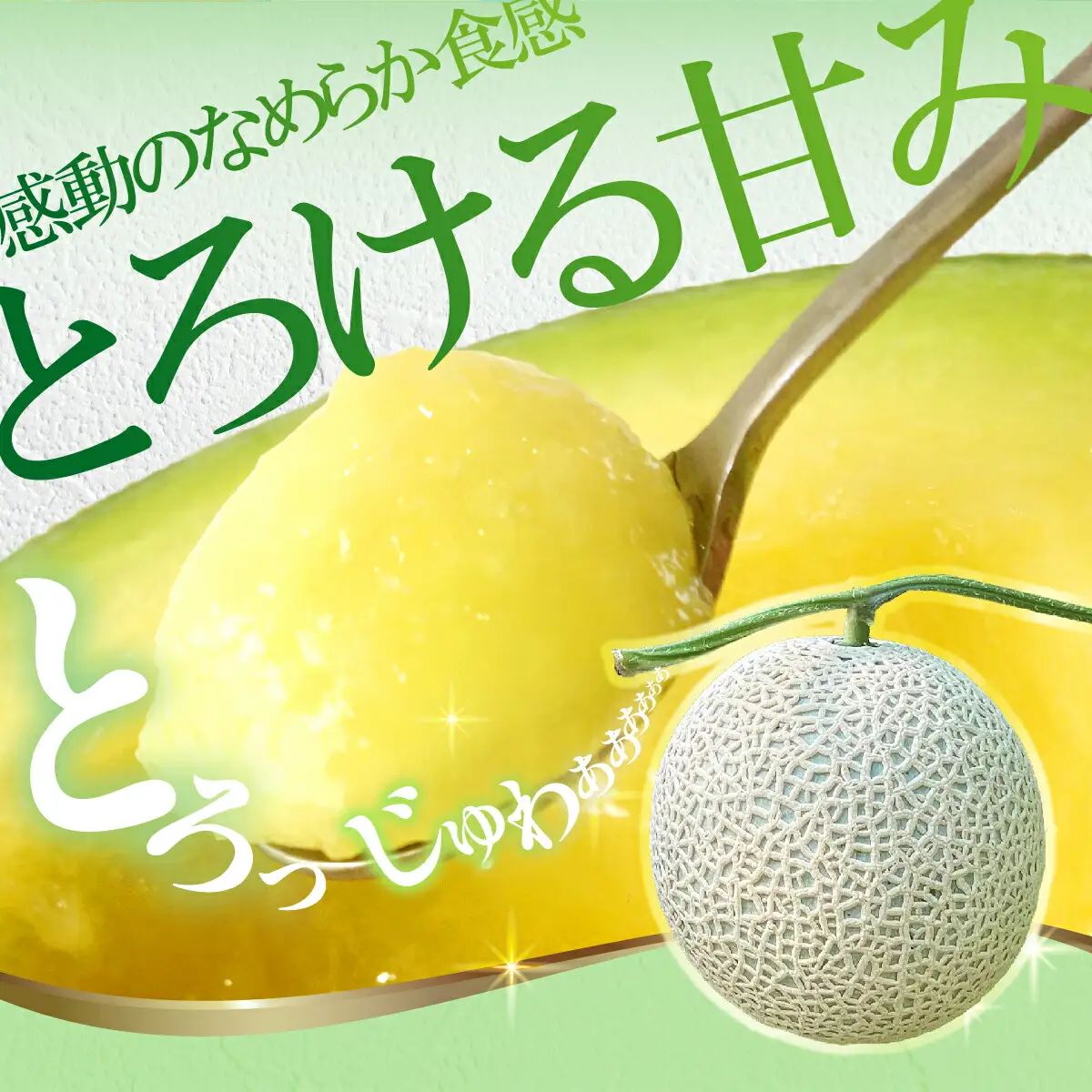 【先行予約】メロン 1玉入（約1.4kg〜1.8kg）青肉 〈2027年6月中旬〜7月中旬頃発送〉 メロン めろん マスクメロン 舐瓜 果物 くだもの フルーツ デザート 旬 ハウス栽培【株式会社とさもん】[BQAE026]