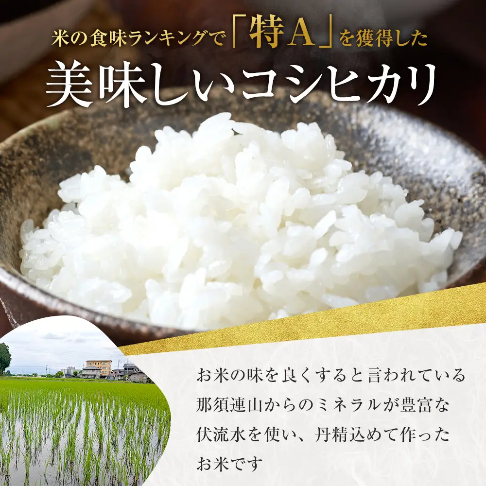 【令和8年産新米先行受付】阿久津吉弘さんのコシヒカリ白米10キロ【2026年9月～10月発送】