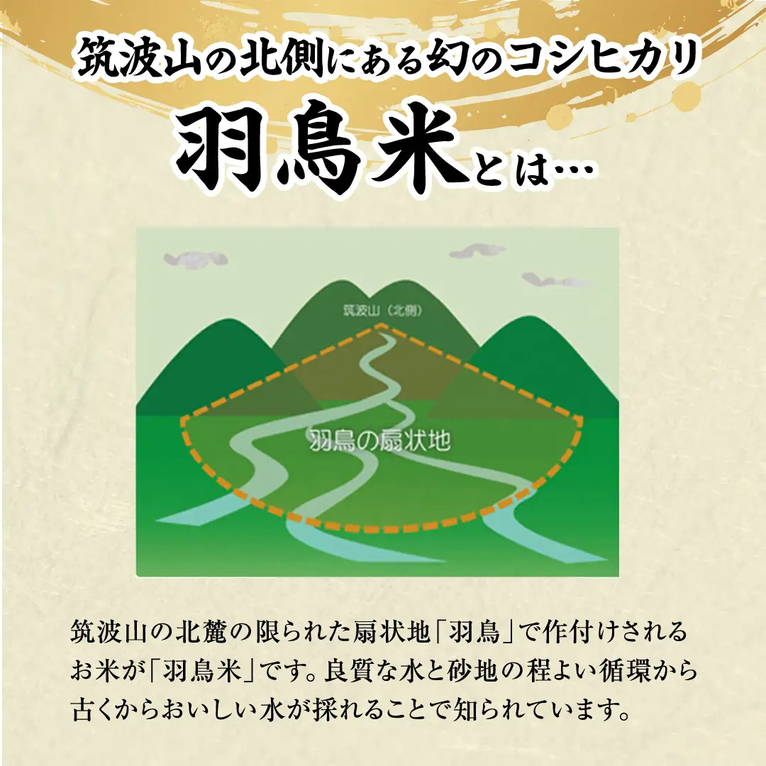 《全3回 定期便》《 令和8年産 先行予約 》 コシヒカリ 「幻の米 羽鳥米」 計 9kg (3kg × 3回) 筑波北麓秘蔵米 お米 ごはん 精米 コメ 白米 国産 茨城県 桜川市 限定 期間限定 数量限定 銘柄米 [AX013sa]