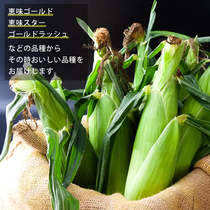 産地直送！ みんな大好きスイートコーン5kg～ふるさとセット～