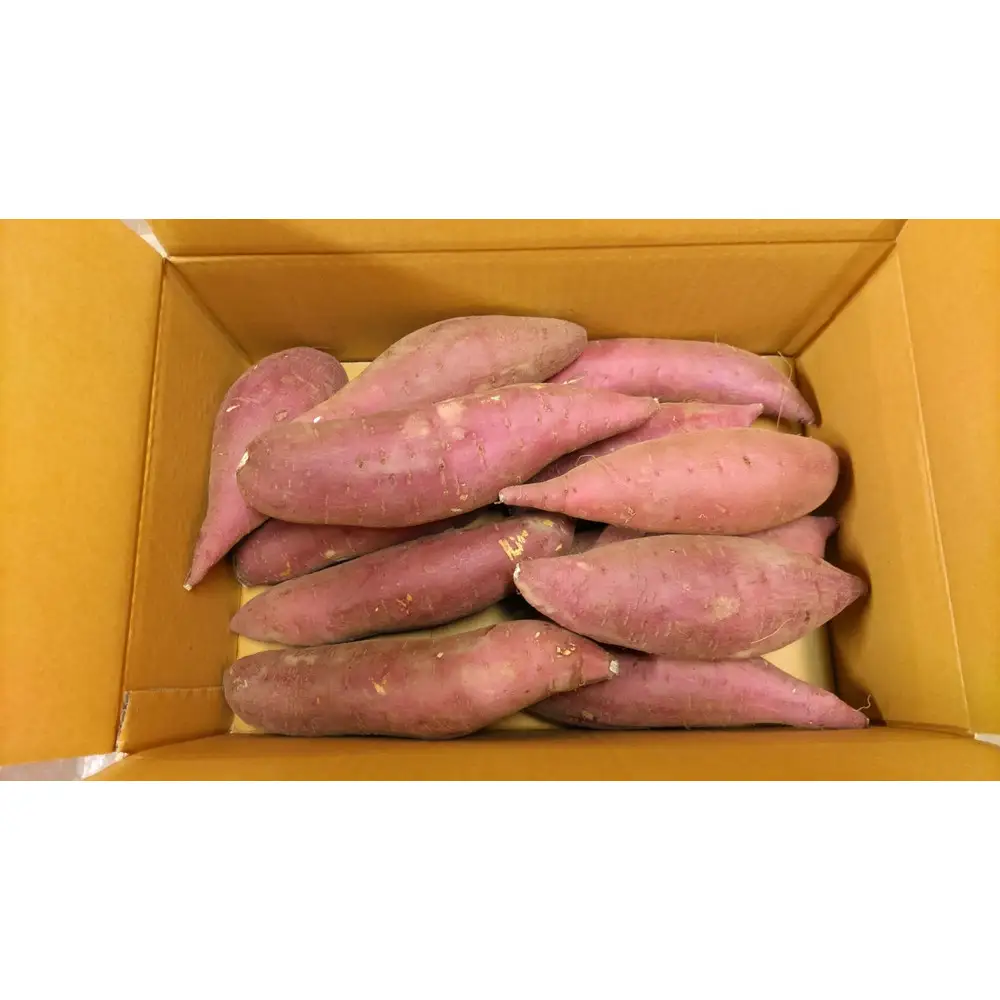 【2026年先行受付】新潟市西区産のさつまいも「いもジェンヌ」 5kg 【12月上旬より出荷予定】