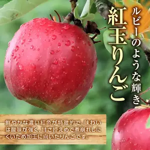 ≪先行受付≫紅玉りんご5kg 18個～25個 特秀【2026年10月下旬～順次発送予定】 057-003