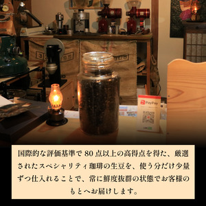 コーヒー 粉 100g スペシャリティコーヒー 珈琲 コーヒー コーヒー コーヒー