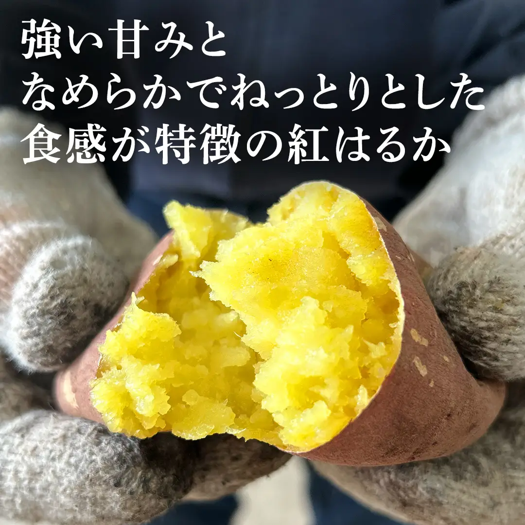 さつまいも 紅はるか 栽培期間中農薬不使用栽培 3kg 【2026年 11月以降発送】 (BJ008)