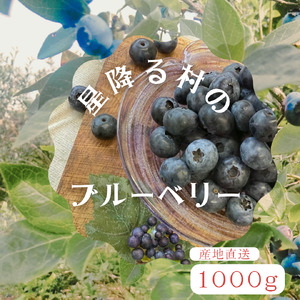 高山村産　生ブルーベリー　１０００ｇ