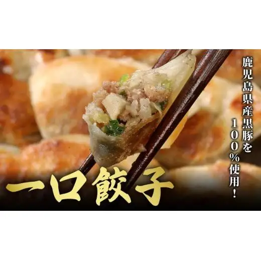 芦屋 伊東屋 謹製 黒豚 一口餃子 40個（醤油タレ 付き）