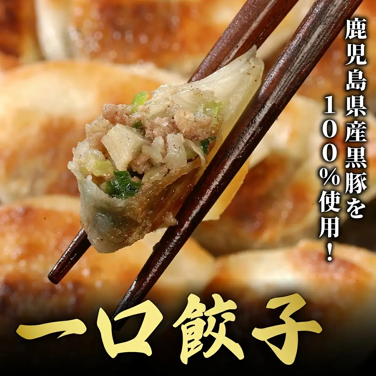 芦屋 伊東屋 謹製 黒豚 一口餃子 60個（醤油タレ 付き）