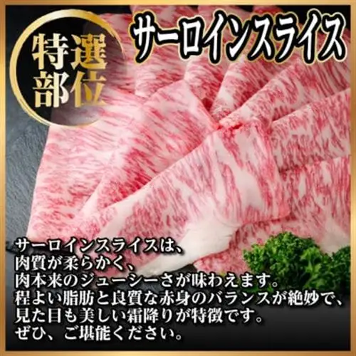 飛騨牛 サーロインスライス 約500g【配送不可地域：離島】【1646549】
