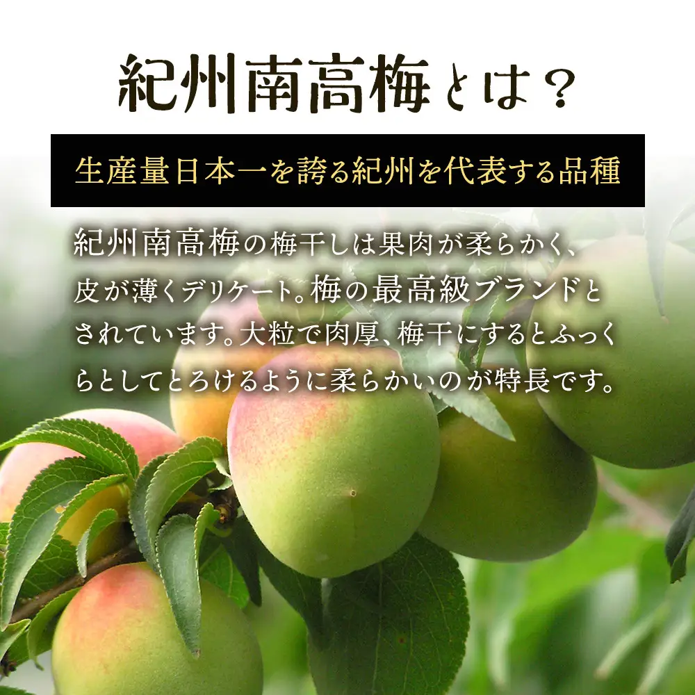 【定期便（4月・8月・12月）全3回お届け】 紀州南高梅使用 はちみつ うす塩味 完熟梅干し 無選別 1kg ［TM215］